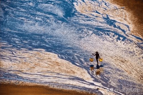 適者生存,旅游景區運營管理的創新思維