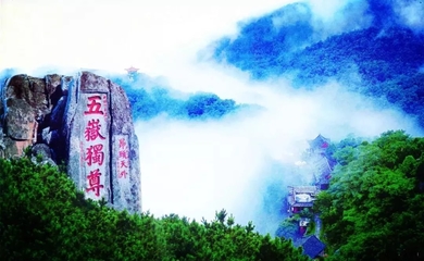 濱州市文化和旅游局:讓公共服務平臺更便民