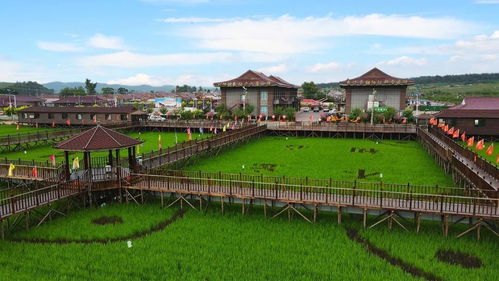 醉 美假期嗨不停,國(guó)慶就來遼源市