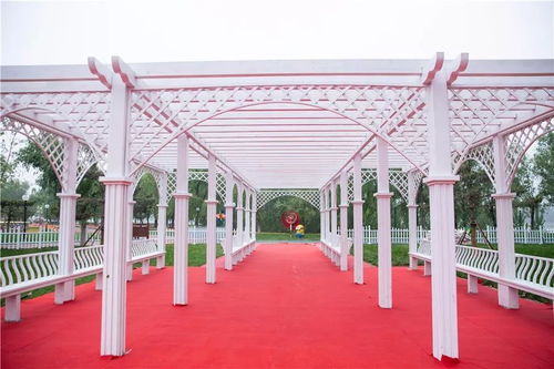 千家旅行社進(jìn)淄博 高青踩線營(yíng)銷暨安瀾灣 首屆風(fēng)車藝術(shù)節(jié) 盛大開幕