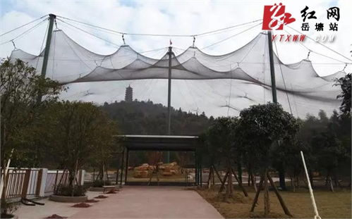 湘潭盤(pán)龍大觀園多措并舉，從容應(yīng)對(duì)春節(jié)旅游高峰